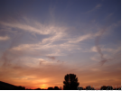 'Stourpaine Sunsets' displayed here are copyright  J McCavitt 2012