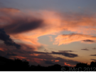 'Stourpaine Sunsets' displayed here are copyright  J McCavitt 2012